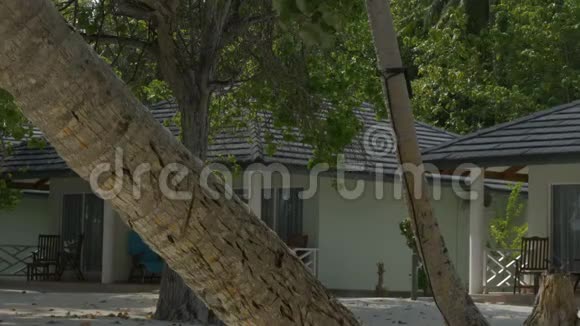 海滩别墅别墅在一个热带岛屿视频的预览图