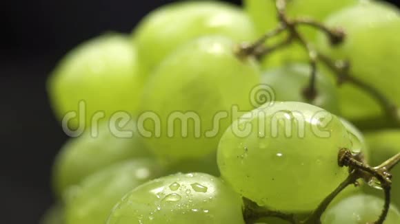 一串带水滴的绿葡萄视频的预览图