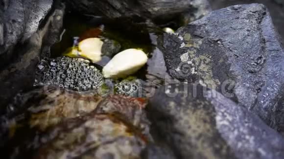 瀑布和岩石石头视频的预览图