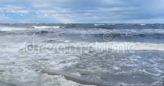 波罗的海沿岸的生态视频的预览图