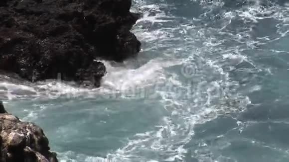 加拉帕戈斯群岛的海浪视频的预览图