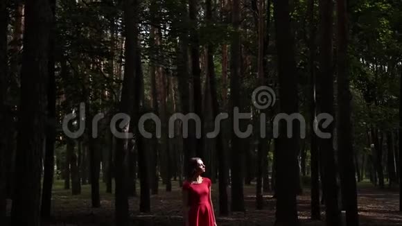 一个穿着红色裙子的非常漂亮和时尚的女人穿过森林视频的预览图