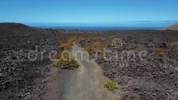 飞越蒂曼法亚公园附近的沙漠火山景观兰萨罗特岛视频的预览图