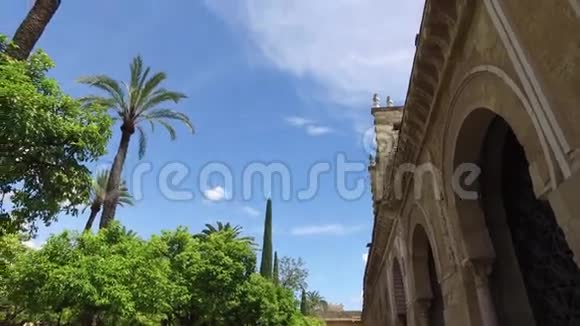 科尔多瓦安达西班牙2016年4月20日玛丽的完美构想大教堂视频的预览图