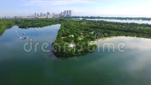 自然保护区迈阿密视频的预览图