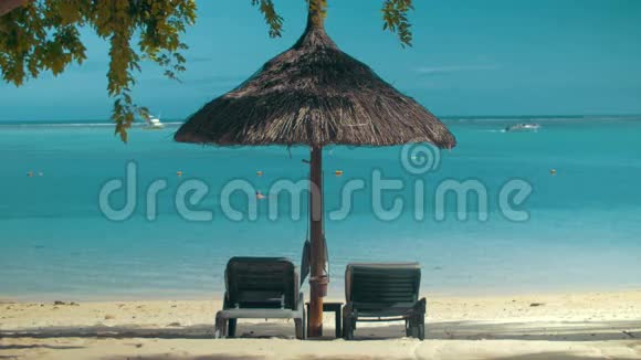 海洋海岸有躺椅和遮阳伞视频的预览图