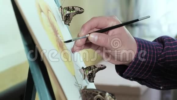 画架上的男画家在蝴蝶旁边画一朵花视频的预览图