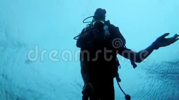 潜水员带教练在埃及红海潜水视频的预览图