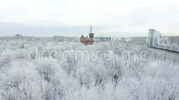 白雪皑皑的城市里的大教堂视频的预览图