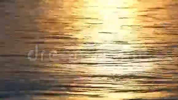 日落自然背景下的黄金时刻视频的预览图