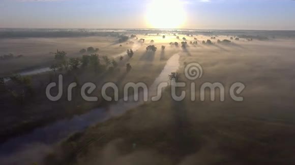 空中日出雾在乡村的树梢视频的预览图