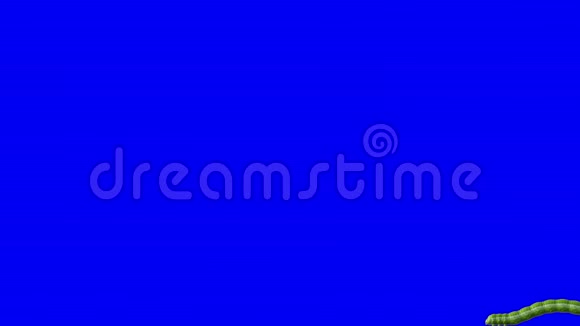 毛毛虫在蓝色三维动画视频的预览图