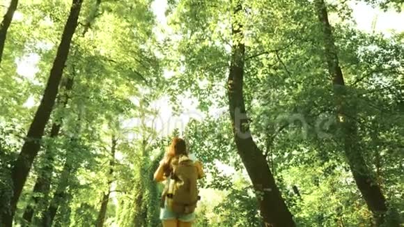 夏天公园的远足女孩青少年女孩度假冒险女旅行者带着背包穿过树林视频的预览图