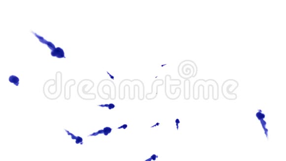 大量的孤立的蓝色墨水注入蓝色书写的墨水泼在水中慢镜头使用墨水视频的预览图