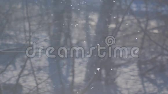 一片蓝色的背景在阳光下飘落的雪视频的预览图