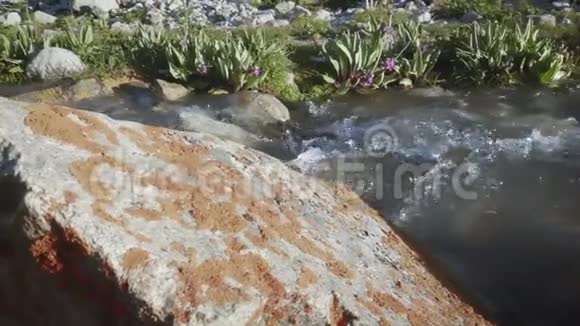 冰川水流在高山上的一条小溪里视频的预览图
