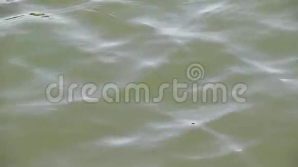 水面上的环波视频的预览图