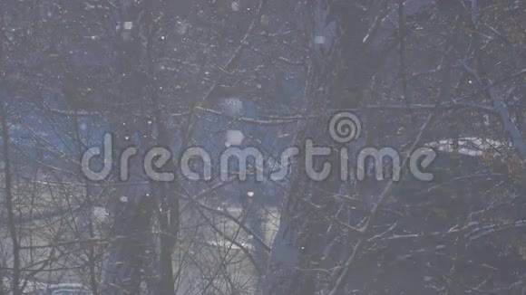 一片蓝色的背景在阳光下飘落的雪视频的预览图