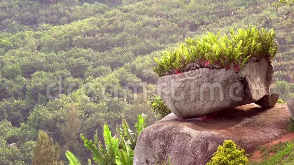 泰国精神之家圣菲拉菲姆雷恩特沃达普泰亚菲姆在普吉岛的绿山岩石和草4K视频的预览图