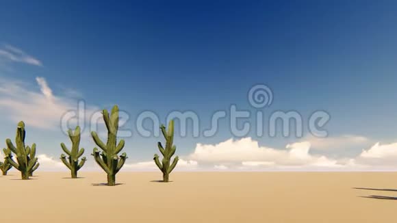 沙漠中的Cacti在尘埃背景下沙漠景观自然景观视频的预览图