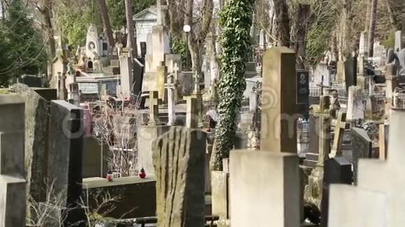 乌克兰西部利沃夫莱查基夫公墓的旧墓视频的预览图