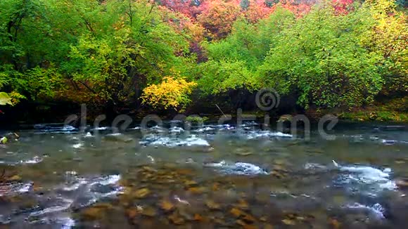 库什河犹他州秋天风景视频的预览图