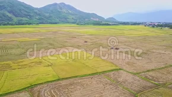 稻田乡村景观空中全景视频的预览图