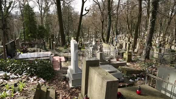 乌克兰西部利沃夫莱查基夫公墓的旧墓视频的预览图