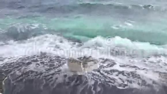 白色的悬崖和蓝色的大海地中海塞浦路斯海岸视频的预览图