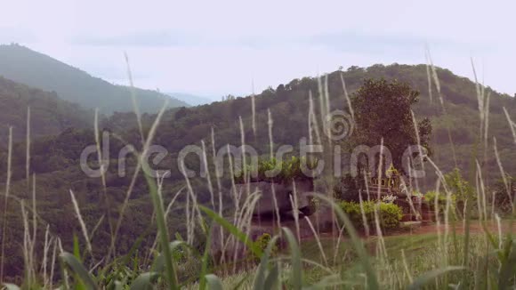 泰国精神之家圣菲拉菲姆雷恩特沃达普泰亚菲姆在普吉岛的绿山岩石和草4K视频的预览图