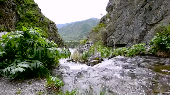 一条山涧在山间流淌视频的预览图