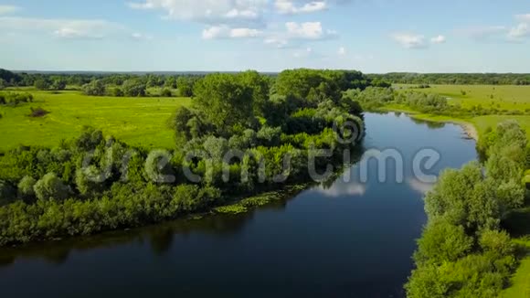 飞越Seim河乌克兰被树木包围空中录像视频的预览图
