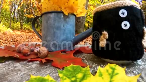 秋天的静物带着杯子留在木制的背景上视频的预览图