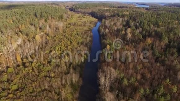 卡雷利亚森林河的美丽鸟瞰图视频的预览图