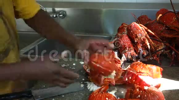 加勒比海的新鲜龙虾尾巴视频的预览图