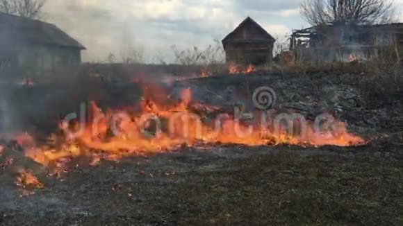火焰在长草中肆虐前景视频的预览图