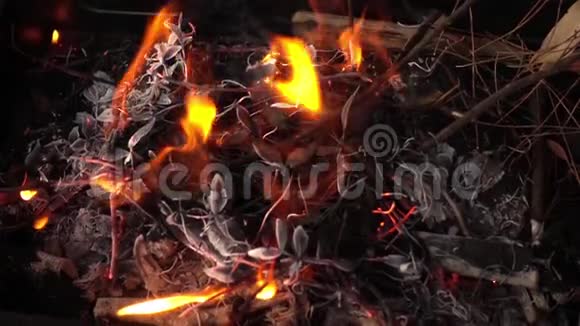 木材和煤火燃烧视频的预览图