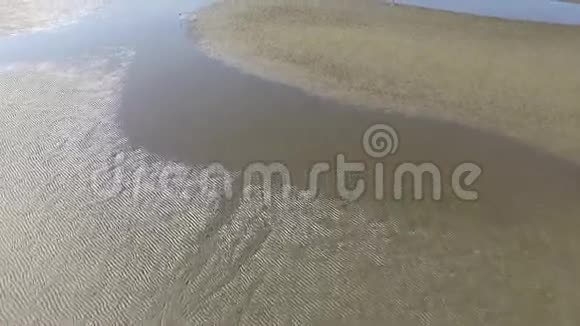 海滨的整洁视频的预览图