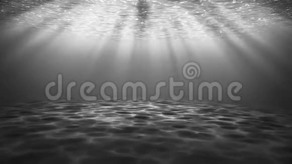水下黑白场景大型流行海洋背景视频的预览图