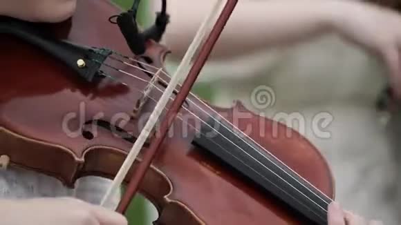 拉小提琴的女人视频的预览图
