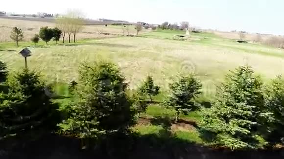 早春鸟瞰伊利诺伊州农田开阔的田野和常绿树木视频的预览图