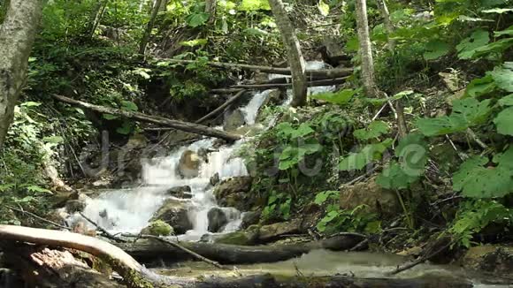 在岩石上流过的森林溪流的淡水视频的预览图