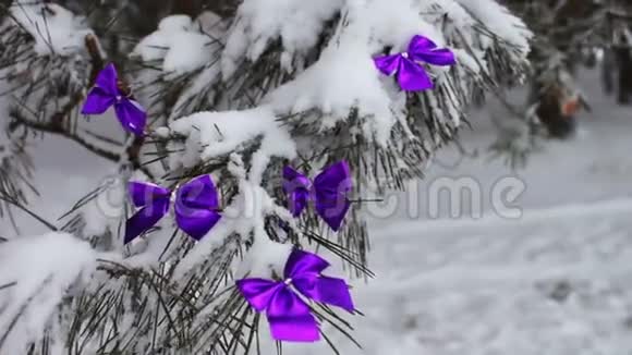 用紫薇丝带装饰的雪林树视频的预览图