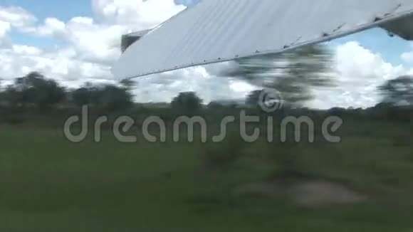 肯尼亚博茨瓦纳热带草原非洲航空公司视频的预览图