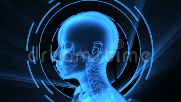 成年女性X射线3D动画无缝环视频的预览图