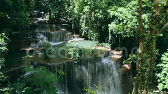 泰国热带森林瀑布视频的预览图