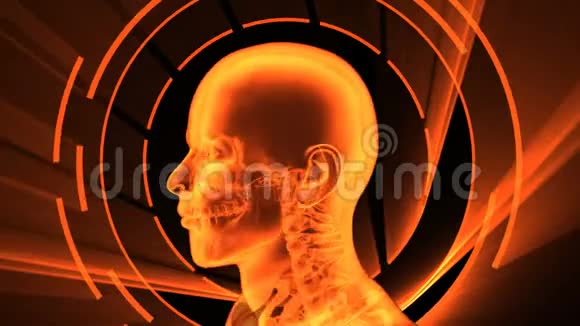 成年男性X射线3D动画无缝环视频的预览图