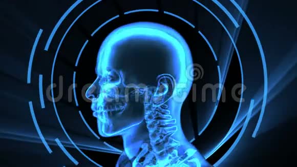 成年男性X射线3D动画无缝环视频的预览图