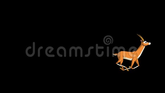 羚羊或瞪羚的羊群跑阿尔法视频的预览图