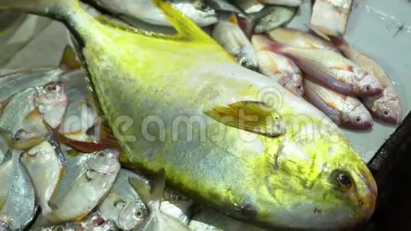 越南市场柜台上的新鲜鱼大量比铁支架上的鱼更新鲜越南切鱼视频的预览图